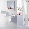 Evron Paper Towel Dispenser Countertop & Wall Mount Clear One-Hand