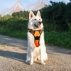 Eagloo Dog Harness for Large Dogs, No Pull Service Vest