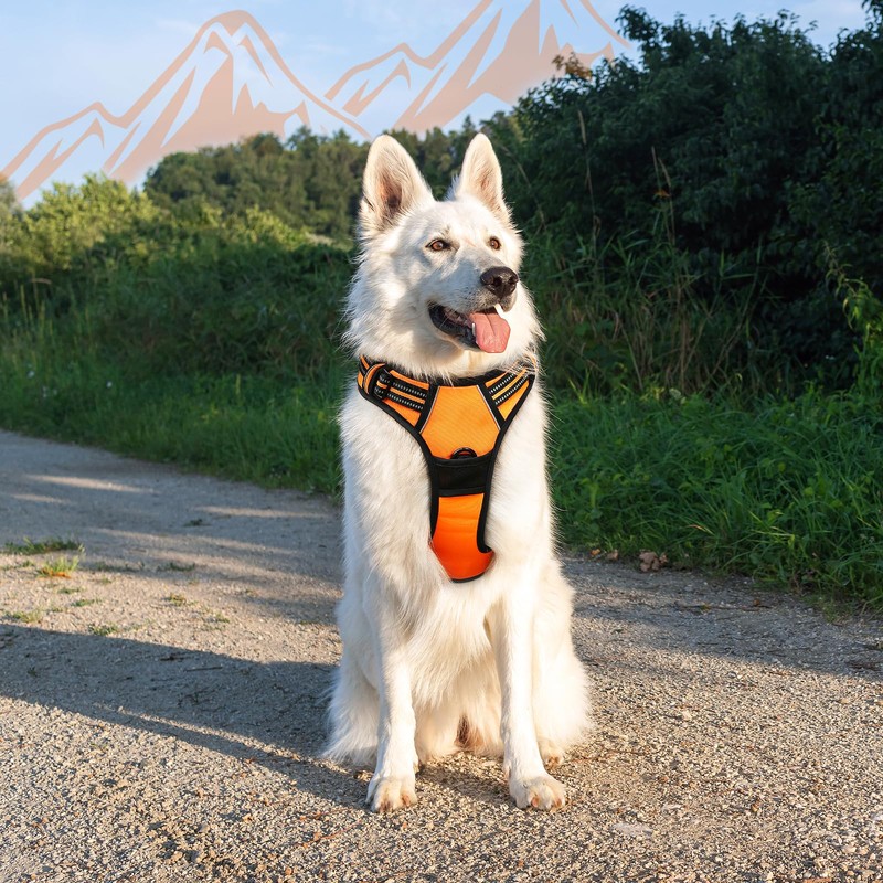 Eagloo Dog Harness for Large Dogs, No Pull Service Vest