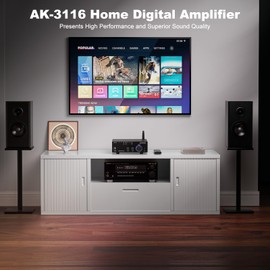 Facmogu AK-3116 HiFi Digital Amplifier, Bluetooth 5.3 200W Dual TPA3116 2 Channel 2x100W Class D Stereo Receiver w/RCA, USB, Optical, FM, Mini Amp Audio System for Home, Outdoor, w/ 24V Power Supply
