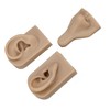 Silicone Piercing Practice Model Simulation Soft Flexible Nose Ears Model