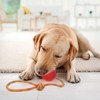 Dog Ball with String, Pack of 2 Throwing Balls with