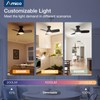 Amico Ceiling Fans with Lights, 30 inch Low Profile Ceiling