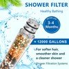 Replacement Handheld Shower Filter Compatible with SR SUN RISE Shower
