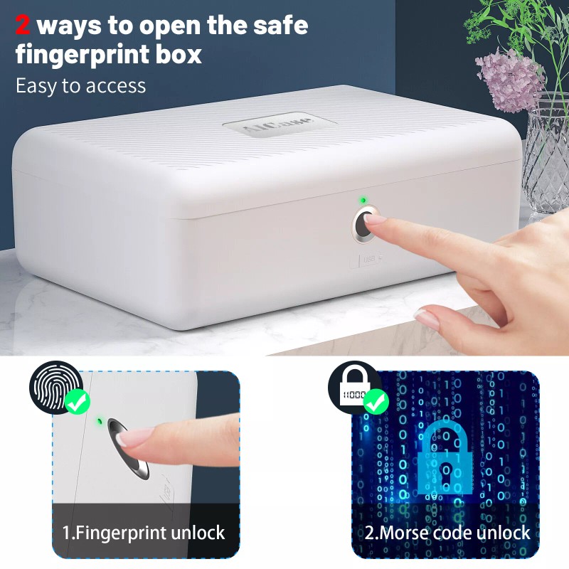 AICase Portable Biometric Fingerprint Storage Box Cash Jewelry Watch Security
