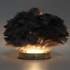 Feather Table Lamp Stepless Dimming USB Charging Touch Control LED