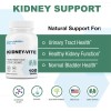 Puregen Labs Kidney-Vite *Premier Kidney, Renal Support* 100 Vegetarian Tablets