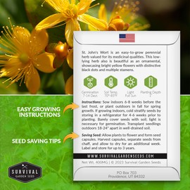 St. John's Wort Seeds for Planting - 1 Seed Packet with Instructions to Plant & Grow Beneficial Perennial Herbs in Your Home Herb Garden - Non-GMO Heirloom Variety Herb Seed - Survival Garden Seeds