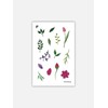 Flower garden tattoo sticker / Flower garden 타투 스티커