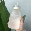 480ml Milk Juice Cute Water Bottle with Scale 2 Lids