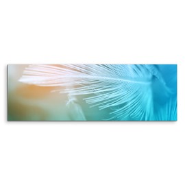 Paul Sinus Art Panorama Photo Canvas 120 x 40 cm Artistic Photography - White Feathers with Turquoise Background on Canvas Exclusive Wall Picture Modern Photography for Your Wall in Many Sizes