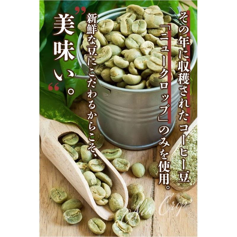 HORI COFFEE Blue Mountain Coffee Beans Founded in 1968 (30