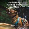 Ruffwear Flagline Dog Harness with Handle, Lightweight Adjustable Walking Harness,