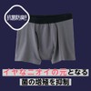Gunze NE1180 Men's Boxer Shorts, Light Incontinence, Paper Pad Compatible,