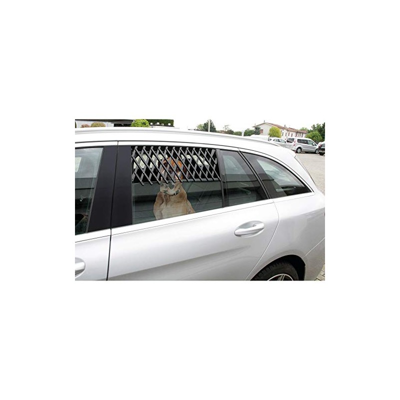 Car Window Ventilation Grille - L