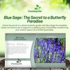 Outsidepride Outsidepride Blue Sage Seeds - 5000 Pcs Perennial, Drought-Tolerant