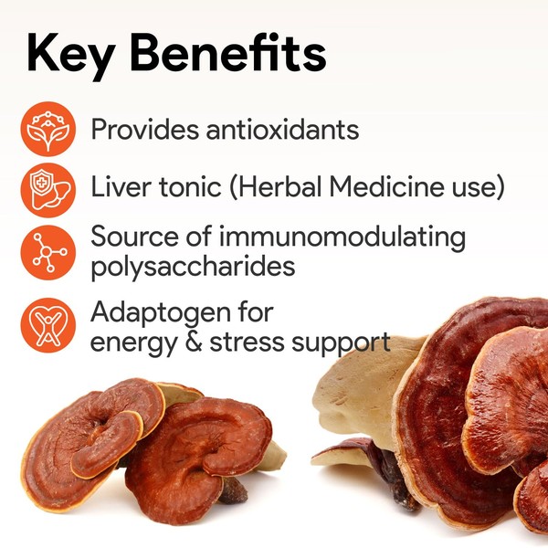 Nutridom Nutridom Reishi Mushroom CapsulesC 4000 mg Daily (2000 mg