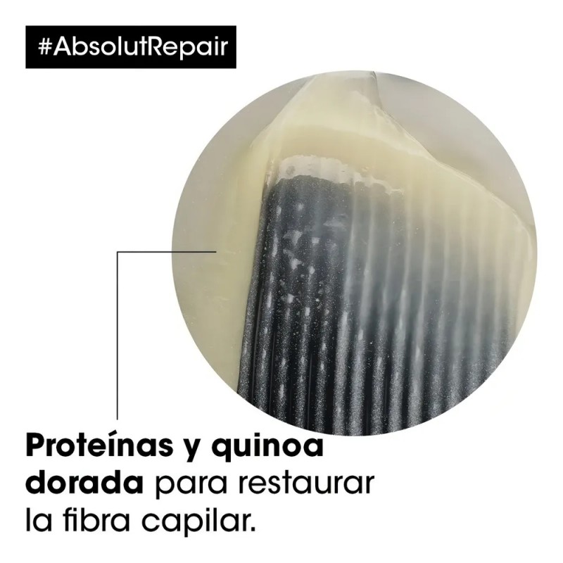 Kit Shampoo Mscara e leo LOral Professionnel Repair