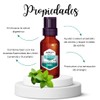 ARO+ Aceite Esencial de Menta Natural Puro Aromaterapia