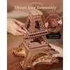 Rolife 3D Wooden Puzzles for Adults, Large Eiffel Tower Set-LED