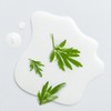 Hanyul [한율]어린쑥 수분진정 패드 기획세트 [Hanyul] Young Mugwort Hydrating Calming