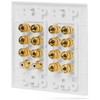 Fosmon 2-Gang 7.1 Surround Sound Distribution Home Theater Wall Plate,