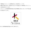 Kumano Brush, Chikuhodo, Genuine Foundation Brush, PF-1, Hair Material: Goat