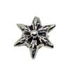 【STERLING SILVER 925】純銀 シルバー 925 ピアス スタッズ ロック ゴシック メンズ