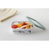 Fuji Hollow Moomin Flower Garden Shallow Square Container S