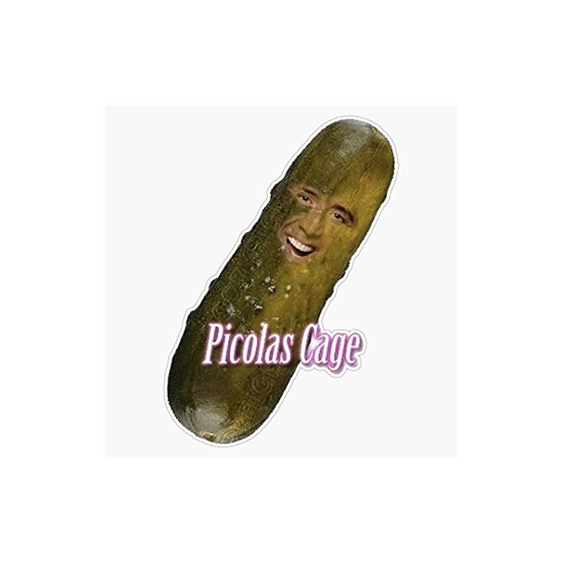 Picolas Cage Bumper Sticker Window Vinyl Decal 5"
