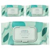 The Saem Garden Pleasure Cica Cleansing Tissue, 100 sheets, 3 pcs / 더샘 가든 플레져 시카 클렌징 티슈, 100매입, 3개