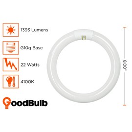 GoodBulb 22-Watt 8 Inch T9 Fluorescent Circline Light Bulb | 4100K Cool White Color | G10q Base | High Output 1393 Lumens | 10000 Life Hours 80 CRI | Pack of 12 Bulbs