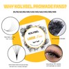 500 Premade Fans Lash Extension 10D 0.03 D Curl Promade