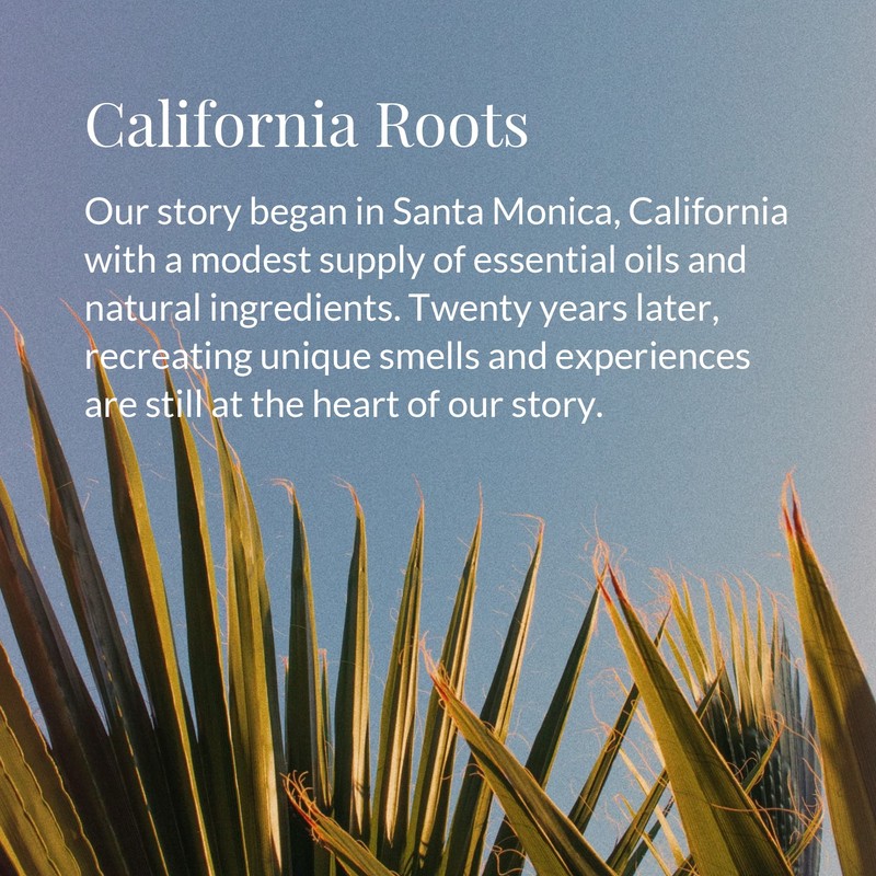 Archipelago Botanicals Botanico de Havana Personal Fragrance | Bergamot, Orange