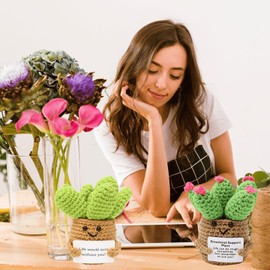 Wezdopu 3PCS Positive Crochet Succulent Handcrafed Emotional Support Poted Plant Creative Knitting Dolls with Positive Affirmation Card Ideal Gifts for Room Decor Car Home Office