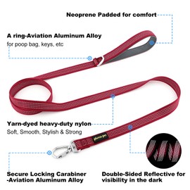 Plutus Pet Heavy Duty Dog Leash with Lockable Aluminum Carabiner, 4/6 Feet Long, Double-Sided Reflective Nylon, Padded Handle, for Puppy, Small, Medium and Large Dogs (Burgundy Red, 4/5" x 4')