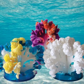 Crystal Growing Coral Reef: Grow 3 Colorful Coral-Like Structures Before Your Eyes. It Like Snorkeling at Your Desk