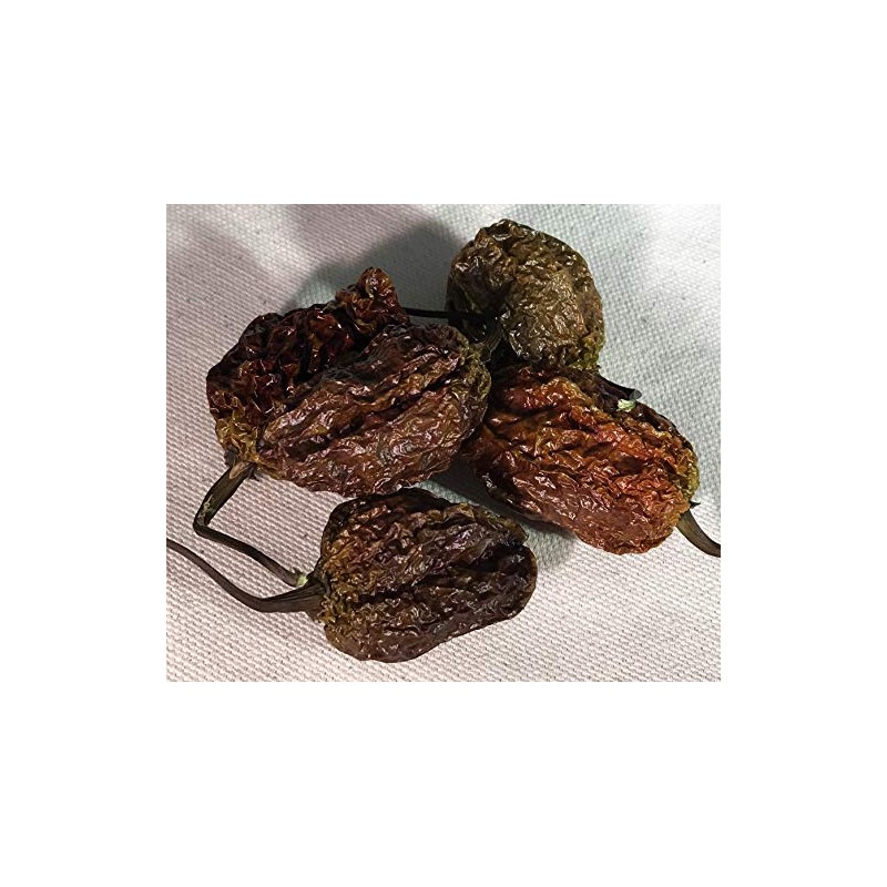 Chocolate Bhutlah Ultra Hot Pepper Dried Whole Pods 5 Pack