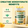 DANEW Pro Creatine Monohydrate Gummies 5000mg for Men & Women,