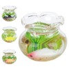 4pcs 1:12 Scale Miniature Glass Goldfish Bowl DIY Fish Bowl