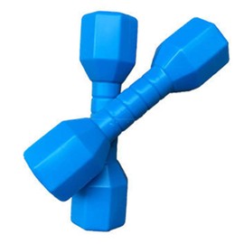 Faderr 2pcs/set Children Dumbbells, Hand Weights Dumbbell for Strength Training,Multipurpose Weights Dumbbells Set for Boys & Girls(Blue)