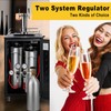 FERRODAY Two System CO2 Regulator, Dual Output CGA-320 CO2 regulator