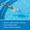 In The Swim Quick Clear Green - Turn Your Pool