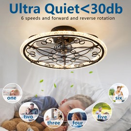 Dalouguan Rustic Black Caged Ceiling Fan with Light, Farmhouse Caged Ceiling Fan with Remote, LED Low Profile Ceiling Light for Bedroom Kitchen Living Room