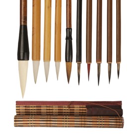Chinese Calligraphy Brush Set, 10Piece Premium Brushes for Beginners and Professionals, Brush Pen for Ink Painting, Calligraphy Practice, and Art Projects
