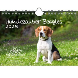 Hundezauber Beagles DIN A5 Calendar for 2025 Puppies and Dogs Seelenzauber