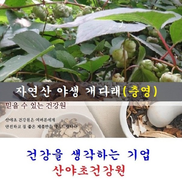 Actinidia (Chungyeong) extract (30 days’ worth): 70 packs / 천기누설 개다래(충영)진액(30일분):70팩