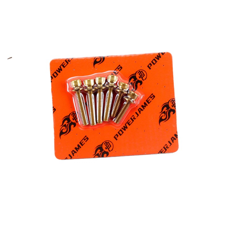 POWERJAMES 6pcs Gold Transmission covers bolt kit for Harley 06-24