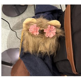Lion Mane Costume for Cats and Dogs