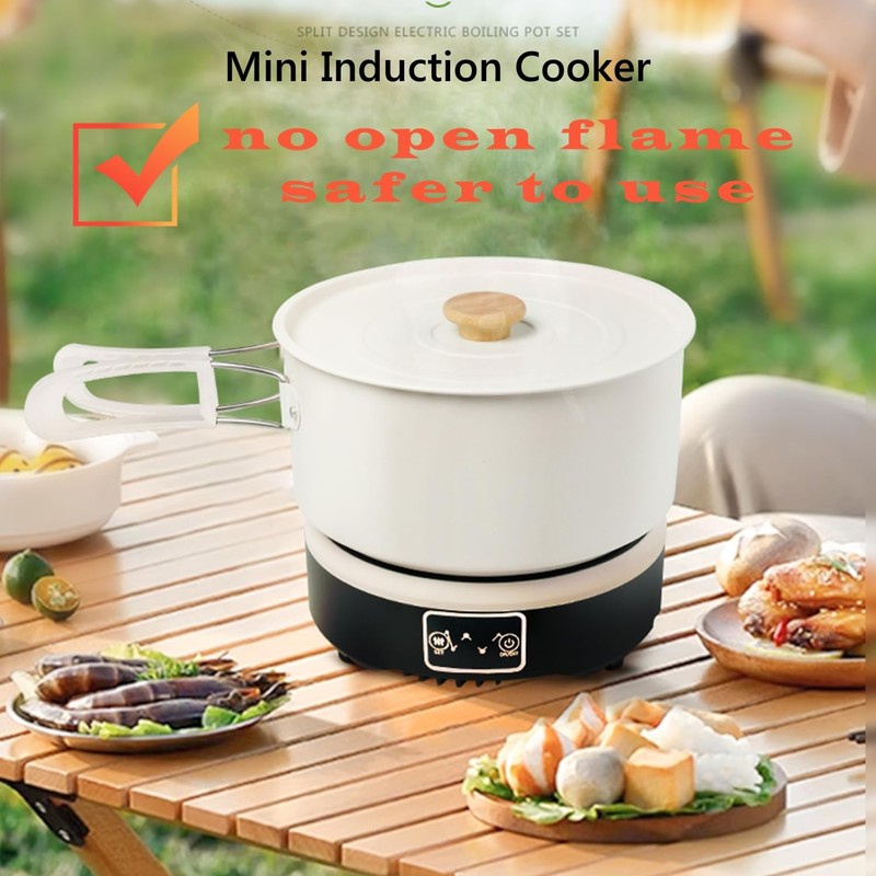 Portable Induction Cooktop with 2-Qt Pot - 650W Fast Heating,